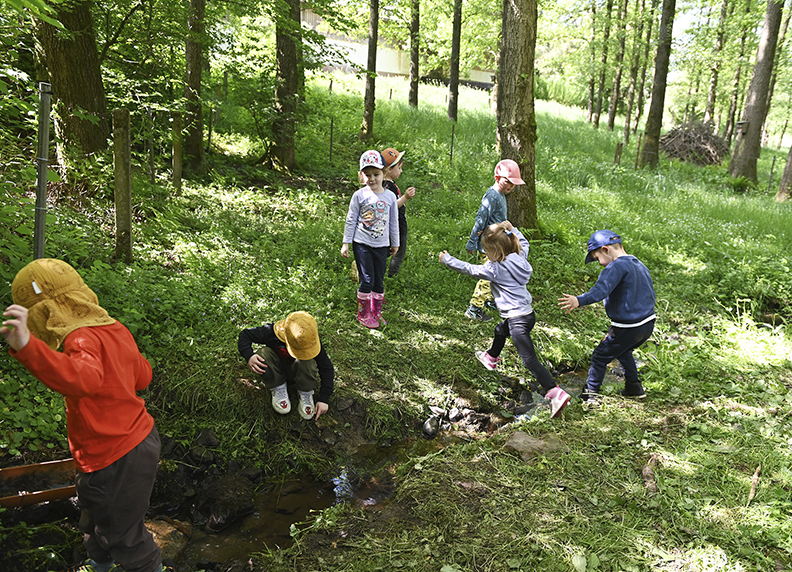 Sie Waldwoche-siegenia-kids 03 Web